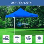 10X10 Gazebo Tent